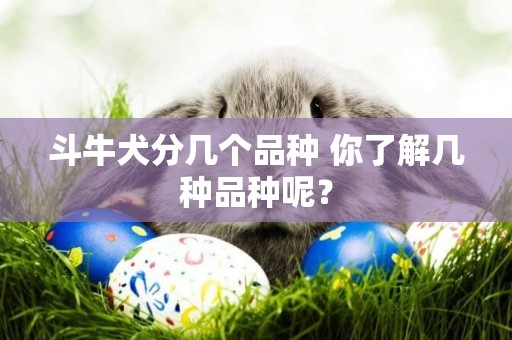 斗牛犬分幾個品種 你了解幾種品種呢？