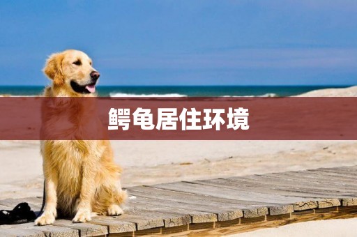 鱷龜居住環境