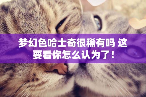 夢幻色哈士奇很稀有嗎 這要看你怎么認為了！