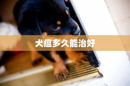 犬瘟多久能治好