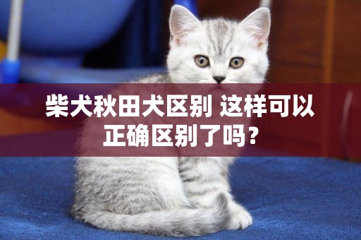 柴犬秋田犬區別 這樣可以正確區別了嗎? 柴犬秋田犬區別 這樣可以正確區別了嗎?