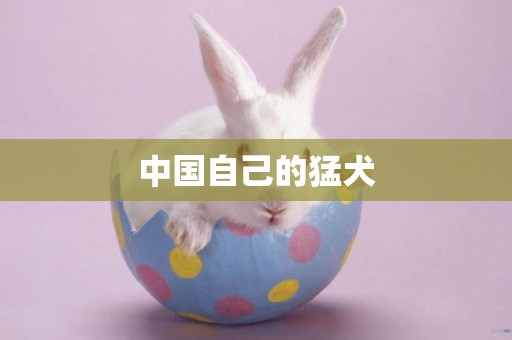中國自己的猛犬