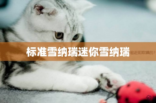 標準雪納瑞迷你雪納瑞