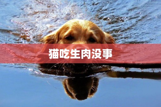 貓吃生肉沒事