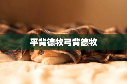 平背德牧弓背德牧