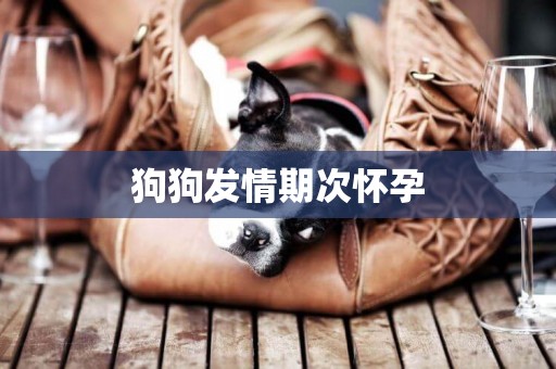 狗狗發情期次懷孕
