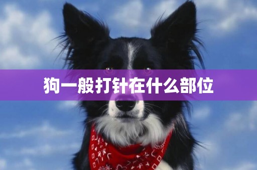 狗一般打針在什么部位