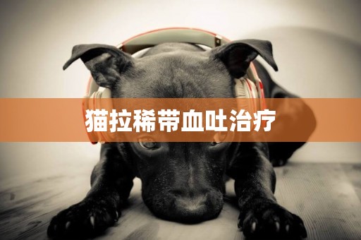 貓拉稀帶血吐治療