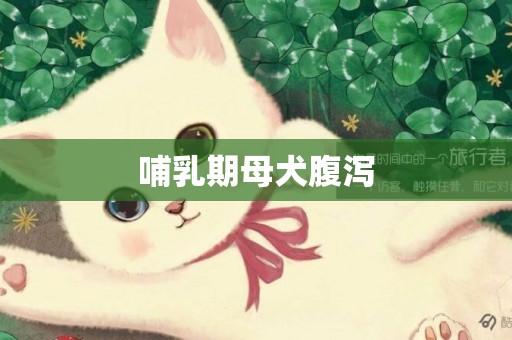 哺乳期母犬腹瀉
