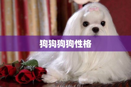 狗狗狗狗性格