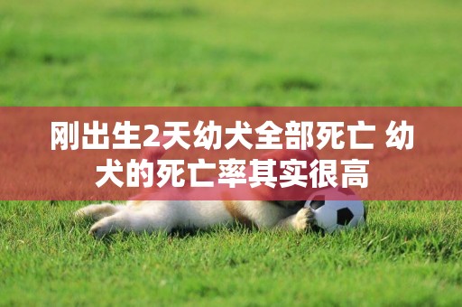 剛出生2天幼犬全部死亡 幼犬的死亡率其實很高
