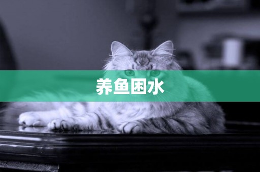 養魚困水