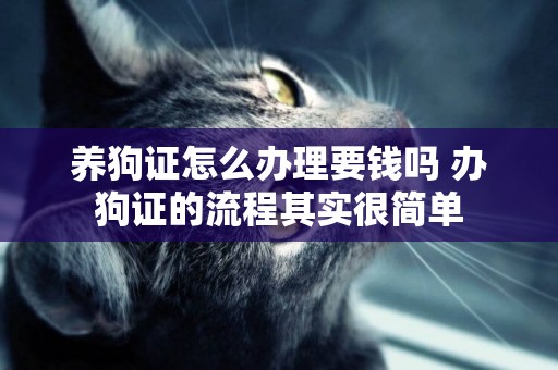 養狗證怎么辦理要錢嗎 辦狗證的流程其實很簡單