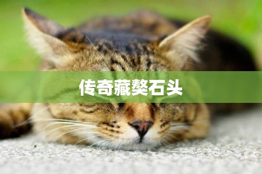 傳奇藏獒石頭