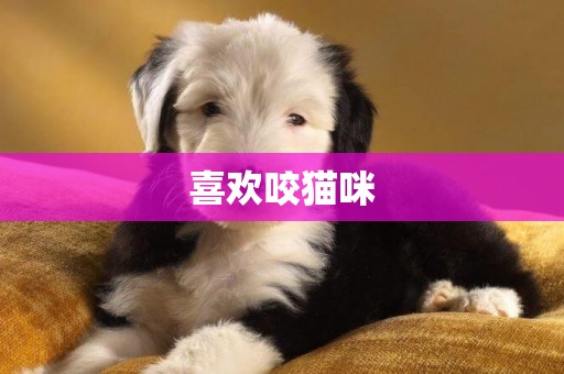 喜歡咬貓咪