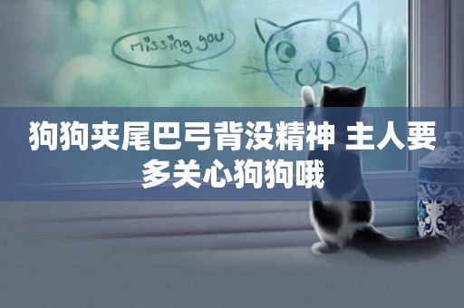 狗狗夾尾巴弓背沒精神 主人要多關心狗狗哦