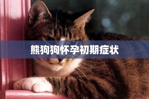 熊狗狗懷孕初期癥狀