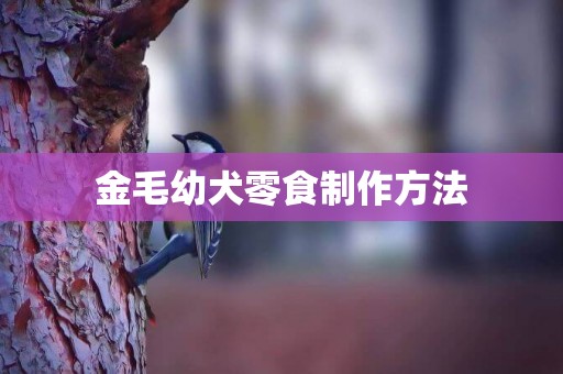 金毛幼犬零食制作方法
