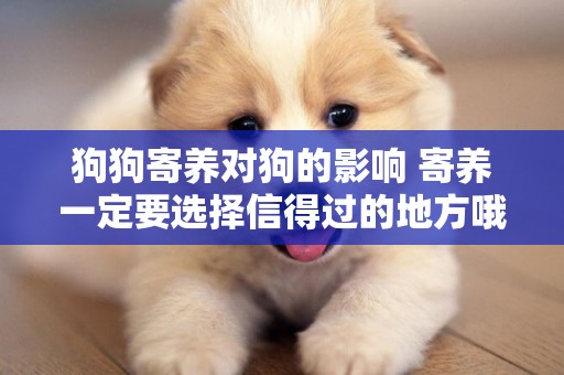 狗狗寄養對狗的影響 寄養一定要選擇信得過的地方哦！