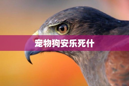 寵物狗安樂死什