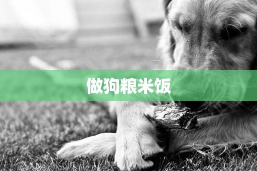 做狗糧米飯