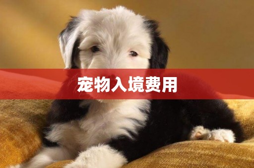 寵物入境費用