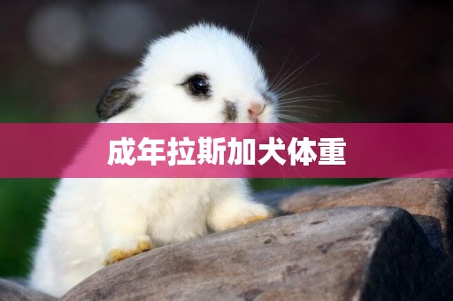成年拉斯加犬體重