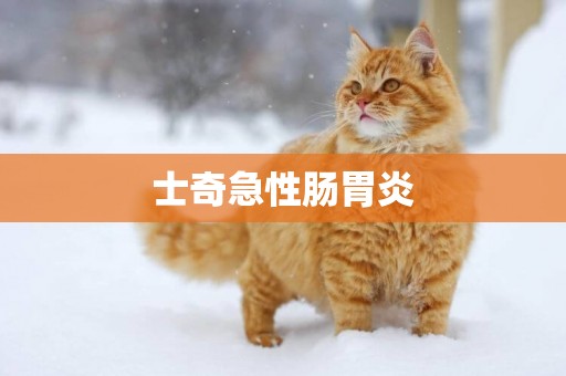 士奇急性腸胃炎