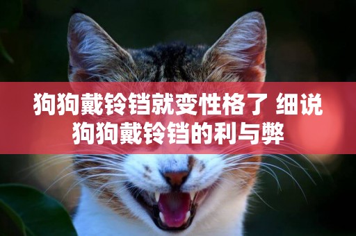 狗狗戴鈴鐺就變性格了 細說狗狗戴鈴鐺的利與弊