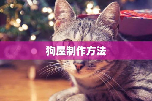 狗屋制作方法