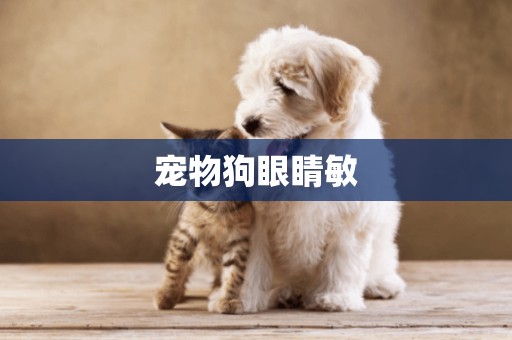 寵物狗眼睛敏