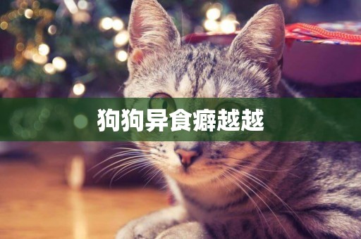 狗狗異食癖越越