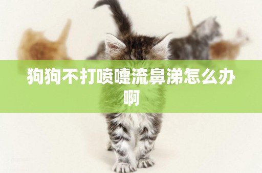 狗狗不打噴嚏流鼻涕怎么辦啊