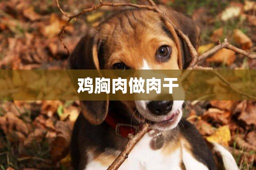 雞胸肉做肉干
