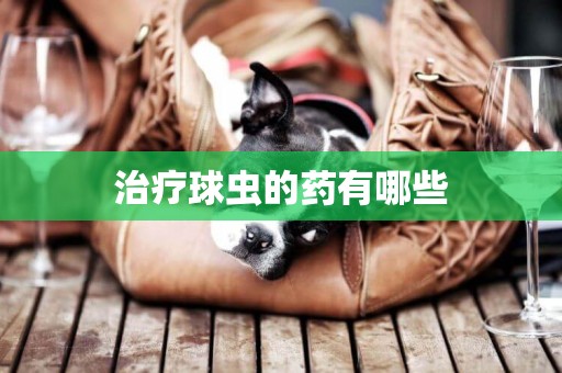 治療球蟲的藥有哪些