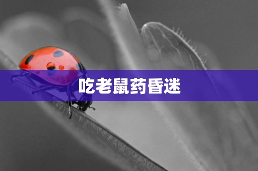 吃老鼠藥昏迷