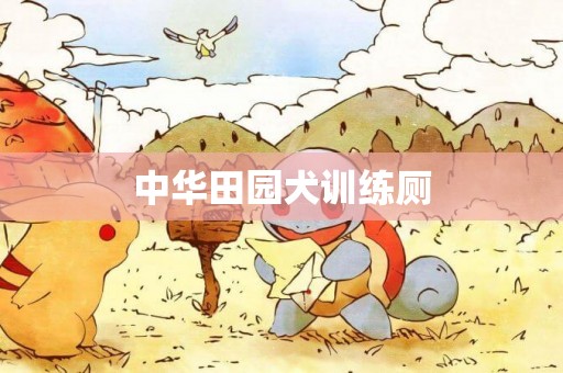 中華田園犬訓練廁