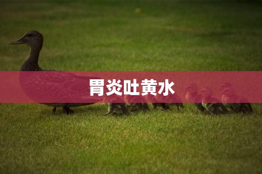 胃炎吐黃水
