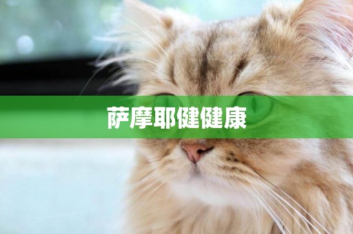 薩摩耶健健康