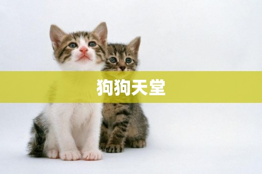 狗狗天堂