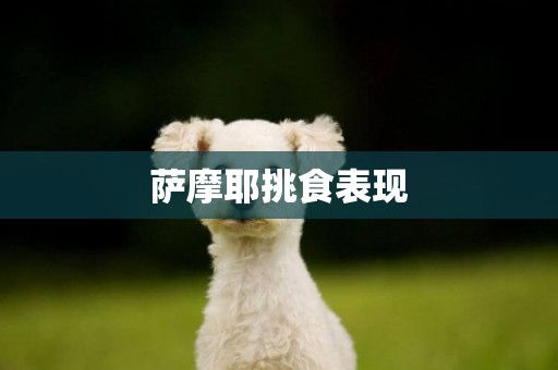 薩摩耶挑食表現