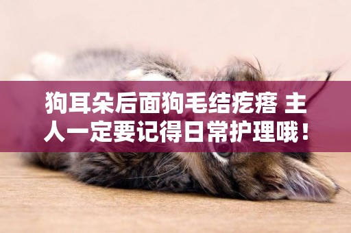 狗耳朵后面狗毛結疙瘩 主人一定要記得日常護理哦！