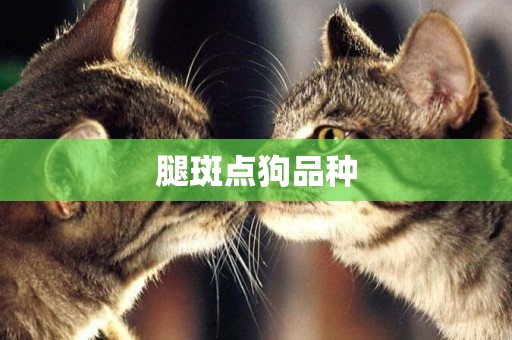 腿斑點狗品種