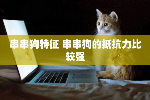 串串狗特征 串串狗的抵抗力比較強