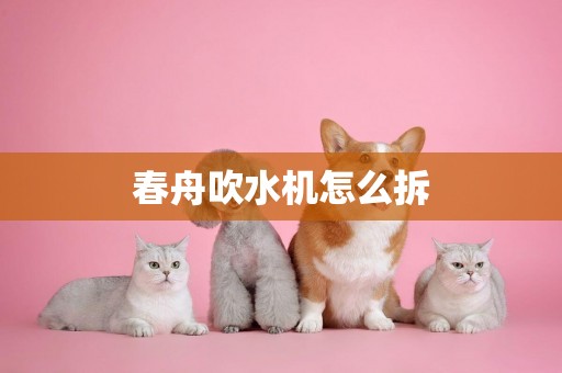 春舟吹水機怎么拆