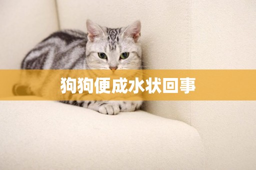 狗狗便成水狀回事