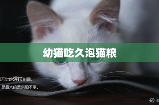 幼貓吃久泡貓糧