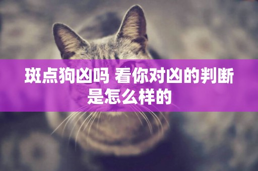 斑點狗兇嗎 看你對兇的判斷是怎么樣的