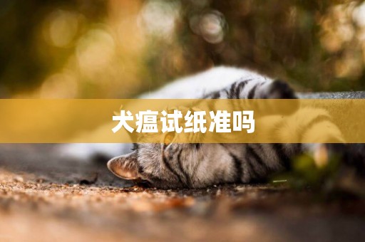 犬瘟試紙準嗎