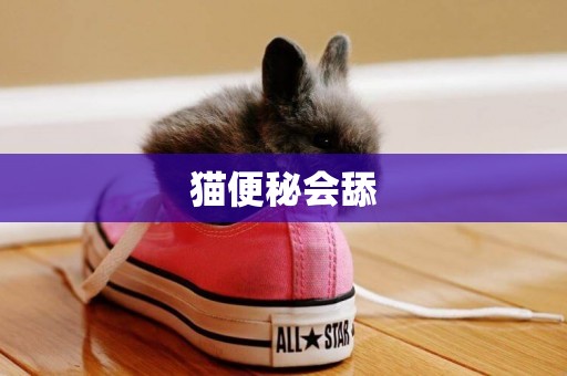 貓便秘會舔